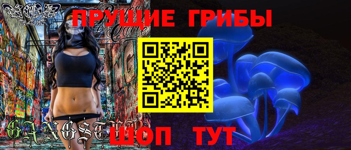 Псилоцибиновые грибы Psilocybe  Вход с VPN  Елизово 