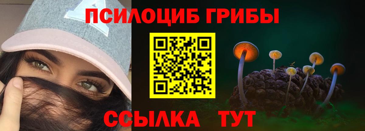 Галлюциногенные грибы Psilocybe Елизово